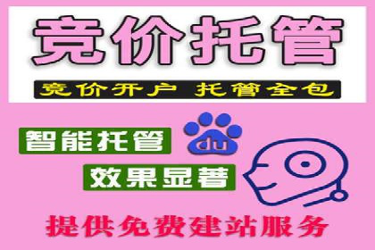 精准投放，SEM托管案例展示